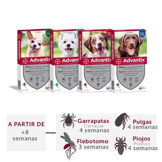 Advantix Pipetas Antiparasitarias para perros