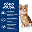 Hill's Prescription Diet Dental Care t/d Pollo pienso para perros pequeños, , large indicador imagen numero 4