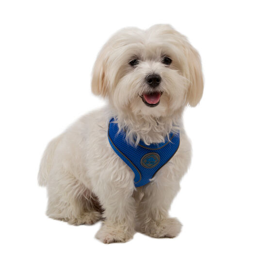 TK-Pet Soft azul de alta visibilidad arnés perros image number null