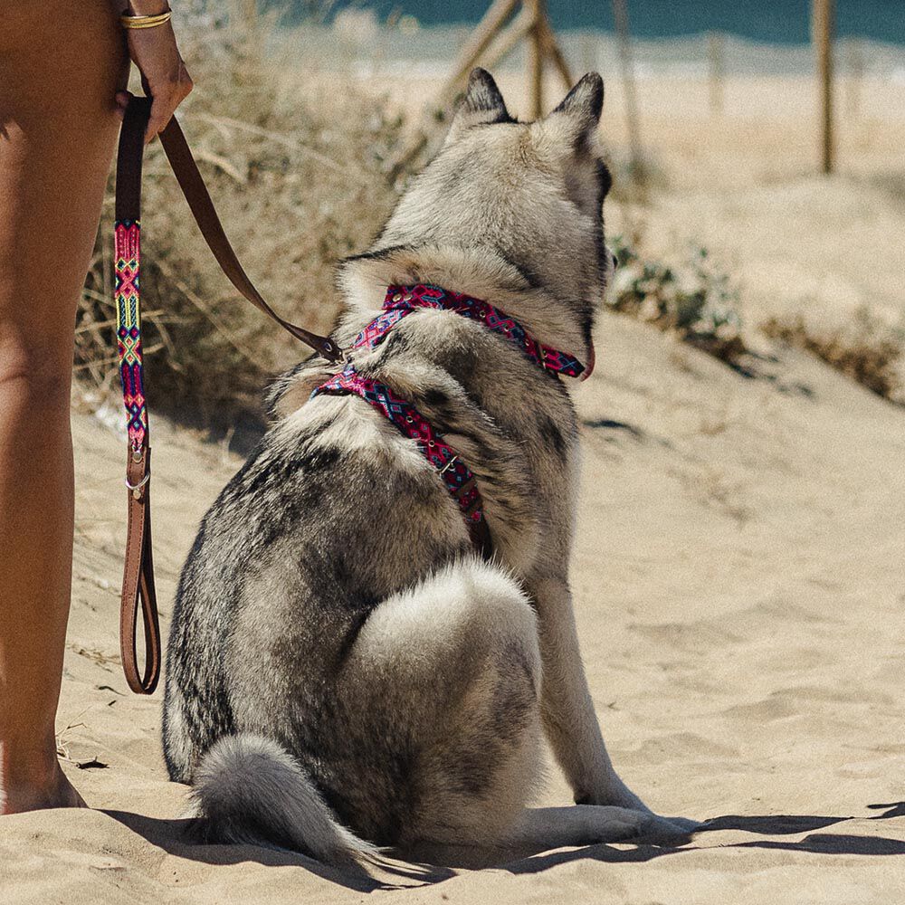 ARN&Eacute;S &Oacute;RALE - XS, , large Imagen numero 2