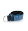 Collar Pamppy Galgo Speedy cebra Azul para perros, , large indicador imagen numero 1