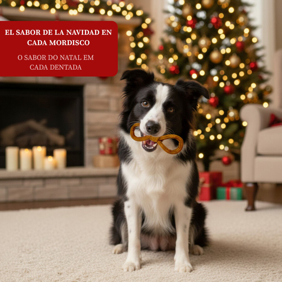 130 g Wonder Christmas Churro de Lazo para perros, , large Imagen numero 4