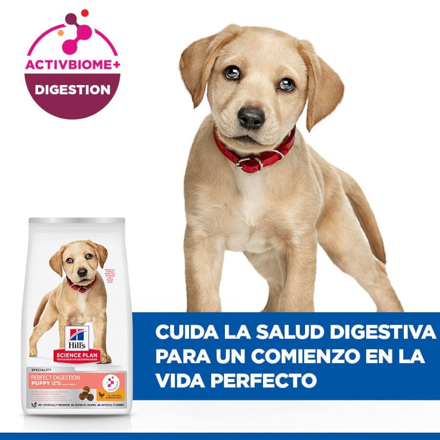 Hill&#039;s Science Plan Perfect Digestion Puppy Large Pienso para perros thumbnail