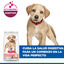 14.5 kg Hill's Science Plan Perfect Digestion Puppy Large Pienso para perros, , large indicador imagen numero 6