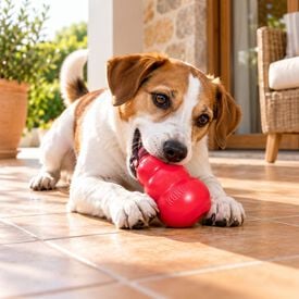 Kong Classic portagolosinas rojo para perros