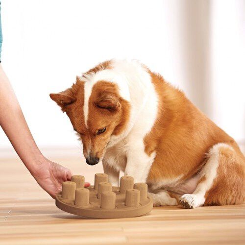 Juguete interactivo para perros color Madera, , large Imagen numero 3