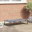 vidaXL Cama para Perros Plegable Sofá Silla Tela Oxford y Acero Gris Antracita, , large indicador imagen numero 2