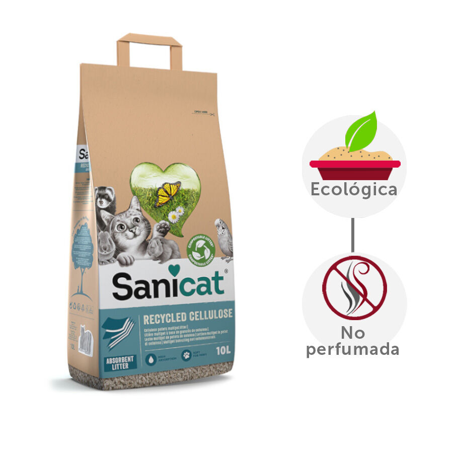 sanicat recycled cellulose