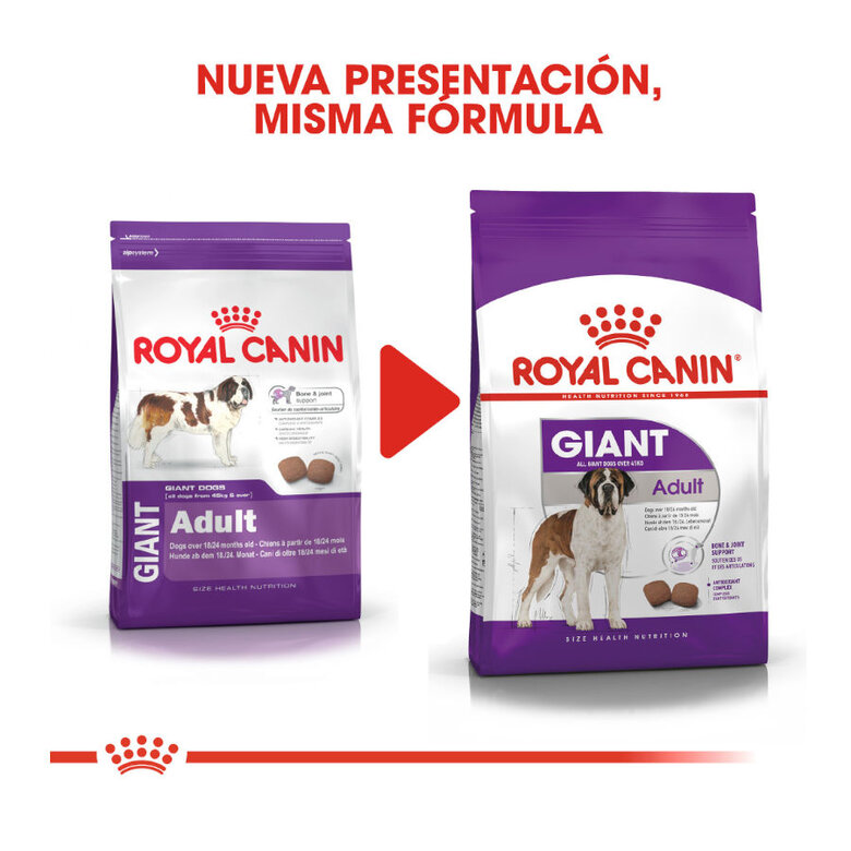 Royal Canin Giant Adult pienso para perros, , large image number null