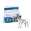 Nobleza 12x Pañales para Perros Desechables Hembra Cachorro Entrenamiento Pañales Súper Absorbente Envolturas para Mascotas Paquete de 12, XXL, , large indicador imagen numero 6