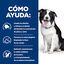 10 kg Hill's Prescription Diet t/d Dental Care Pollo pienso para perros medianos, , large indicador imagen numero 4