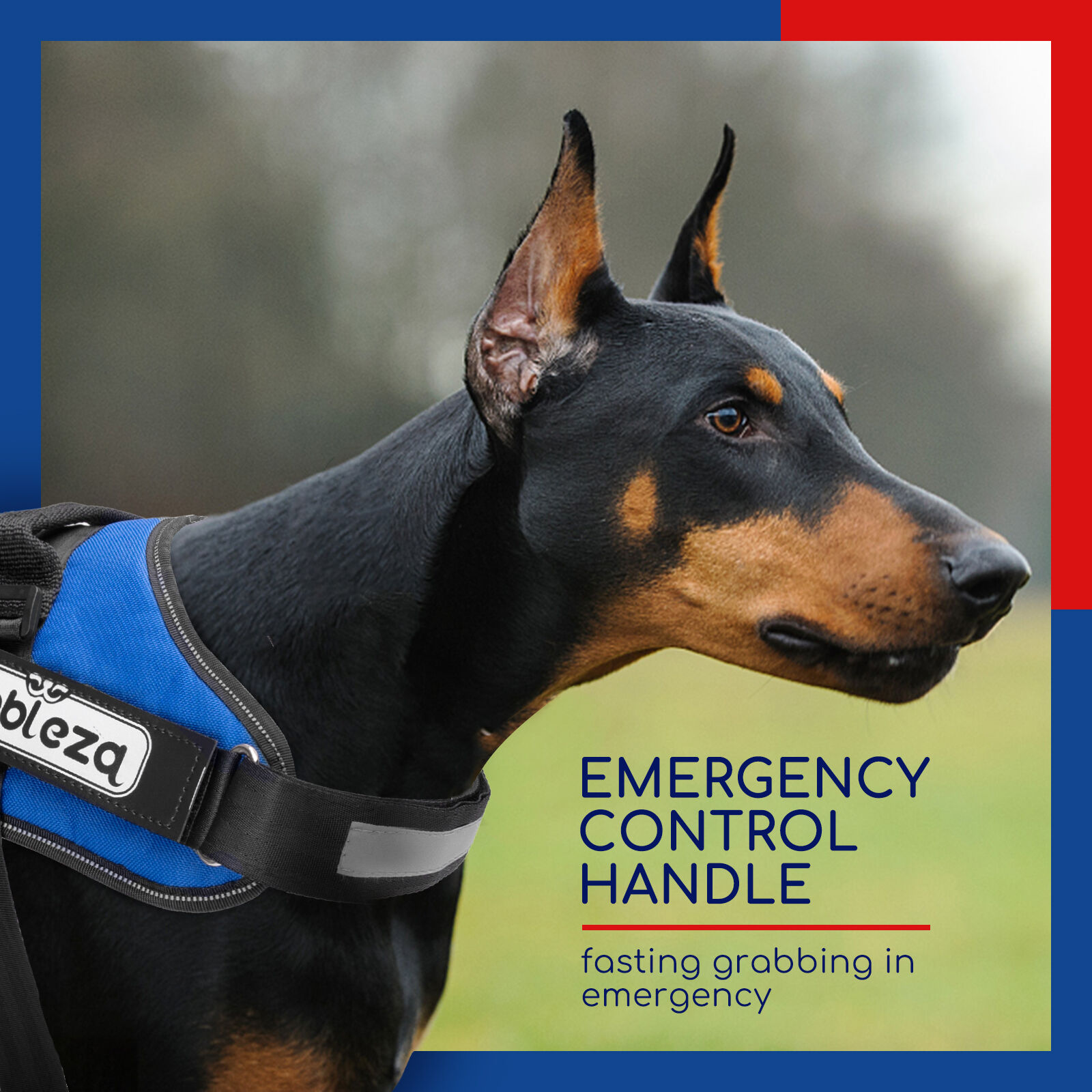 Nobleza - Arn&eacute;s Antitirones Perro, Arn&eacute;s Perro Reflectante Ajustable, Incluye 2 Etiquetas de Logotipo Desmontables, C&oacute;modo Transpirable Arn&eacute;s Chaleco para Perros Peque&ntilde;os, Medianos y Grandes, Azul(M), , large Imagen numero 5