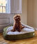 Cama Perro con Capucha Pana Verde, Maso, , large indicador imagen numero 4