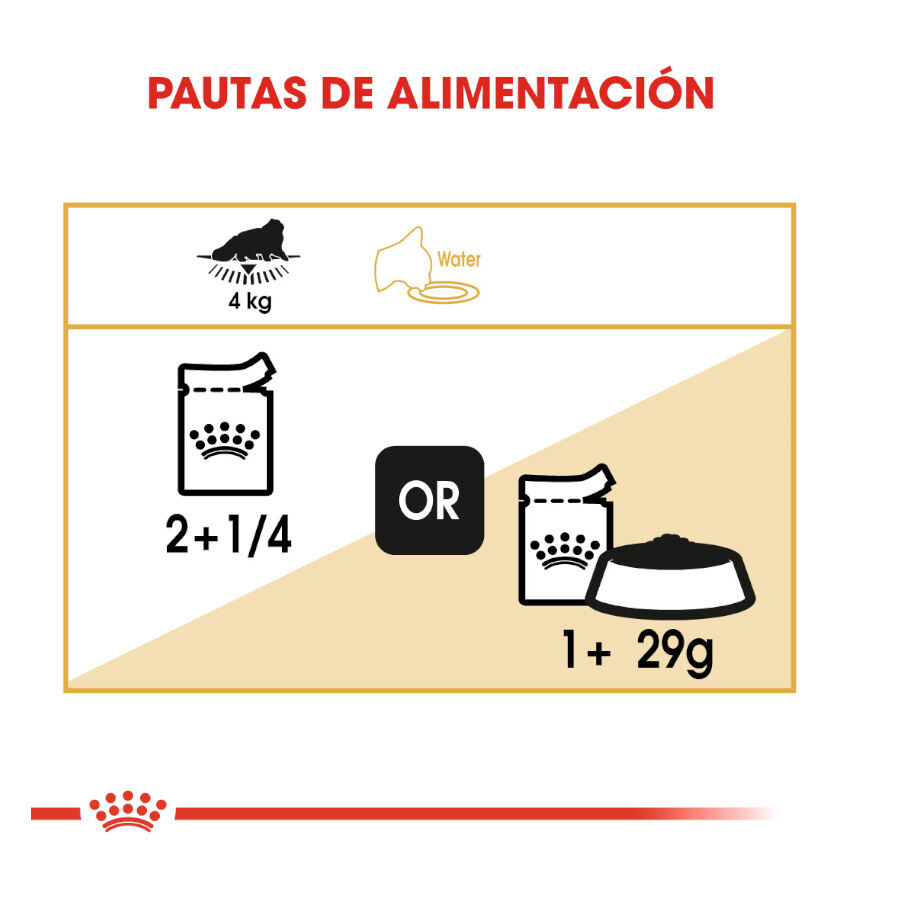 Royal Canin Feline Persian Adult sobres para gatos thumbnail