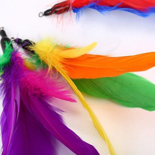 Mypetcare Plumero multicolor para gatos, , large Imagen numero 2