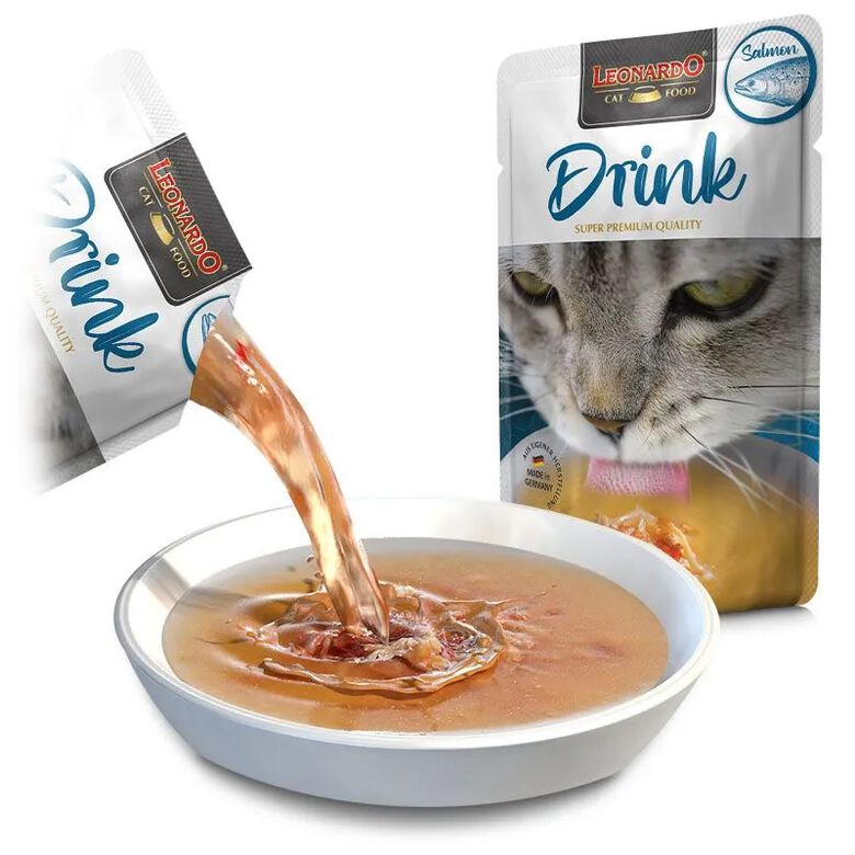 Leonardo Sopa Para Gatos thumbnail