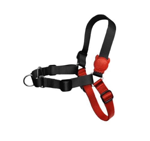 Arn&eacute;s Zee.dog SOFT-WALK FATBOY S, , large Imagen numero 1