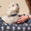 Disney Premium Villanas collar para perros, , large indicador imagen numero 4