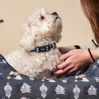 Disney Premium Villanas collar para perros, , large image number null