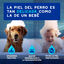 Ceva Douxo Spa Limpiador Auricular para perros, , large indicador imagen numero 5