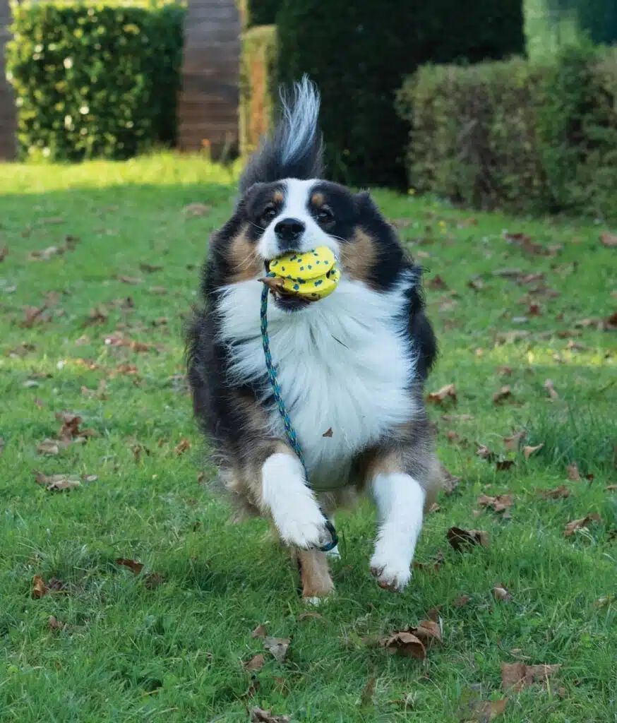 Zeus Nitro&trade; Hondero Lastrada con cuerda, 9,2cm, , large Imagen numero 5