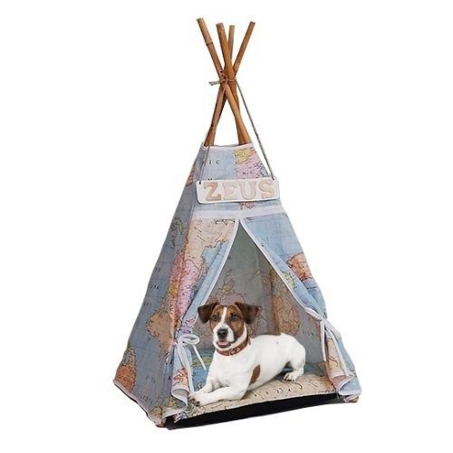 Cama cheap perro mapamundi