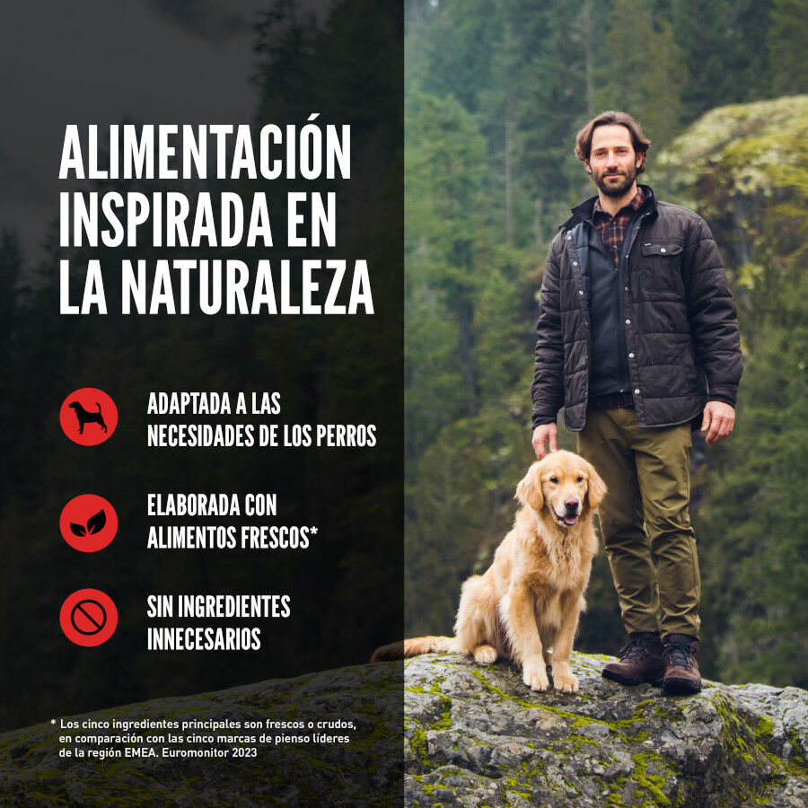 Orijen Tundra Pienso Seco Cordero y Ciervo para perros, , large Imagen numero 7