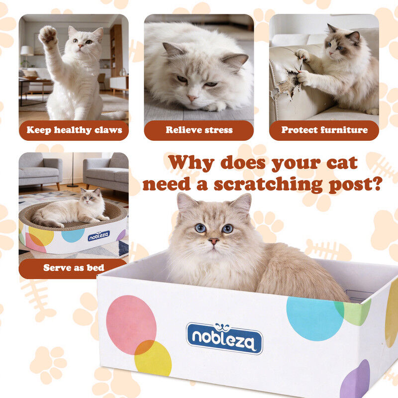 Nobleza Rascador para Gatos 4 en 1, Centro de Actividades de Cart&oacute;n Corrugado con Cama Ovalada, Caja de Juego, Bolas de Juguete y Hierba Gatera, Tabla de Rascar de Alta Densidad, , large Imagen numero 3