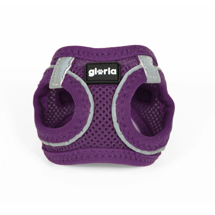 Gloria Air Mesh Trek Star Arnés Morado para perros thumbnail