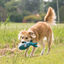 Kong CuteSeas Ballena de peluche para perros, , large indicador imagen numero 2