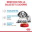 140 g Royal Canin Medium Puppy Sobres, , large indicador imagen numero 5