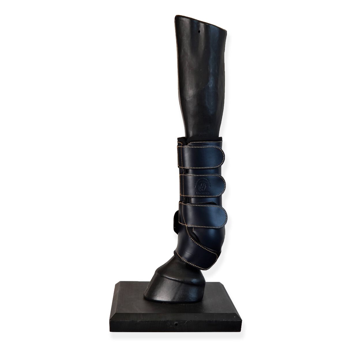 Guarnicioneria Los Nietos Protectores  Doma Confort Color Azul Equipamiento Para El Caballo