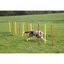 Set de entrenamiento para perros color Rojo y Amarillo, , large indicador imagen numero 5