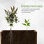 Outsunny Jardinera Madera Natural, , large indicador imagen numero 4
