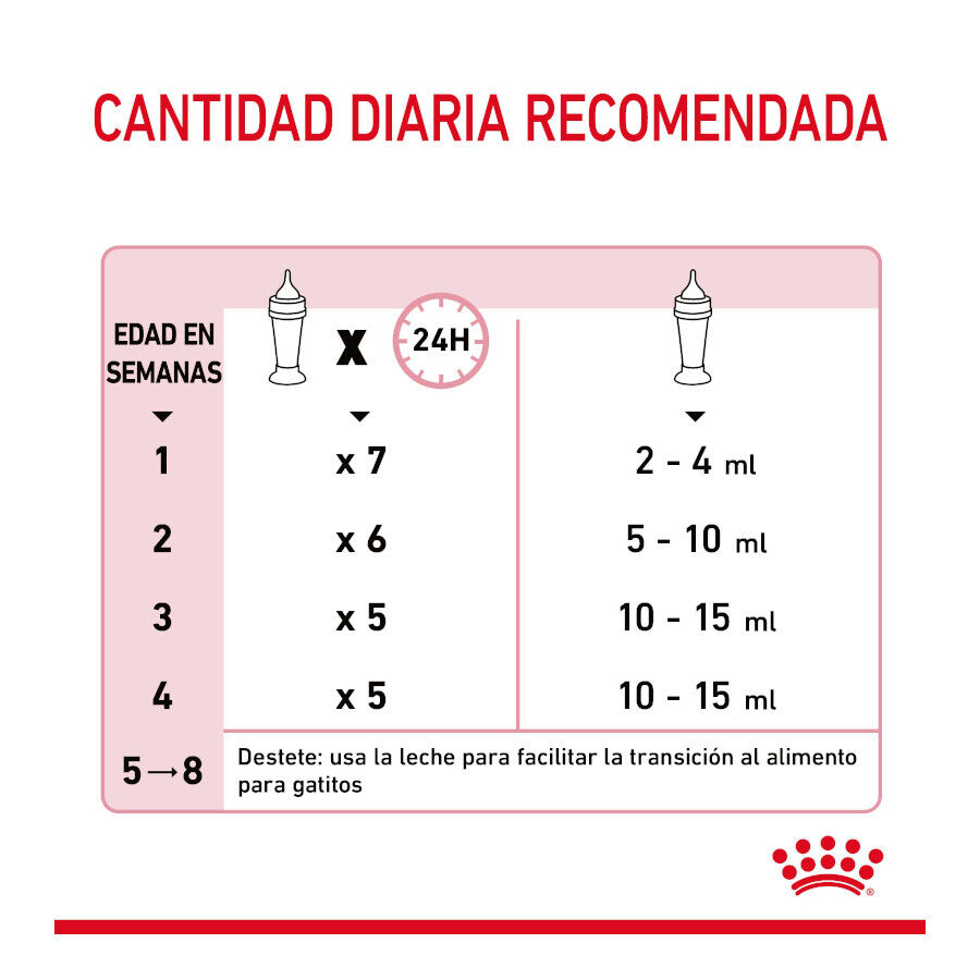 300 g Royal Canin Leche para gatitos primer a&ntilde;o, , large Imagen numero 8