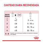 Royal Canin Leche para gatitos primer año, , large image number null