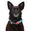 Dukier Gummy Bears collar para perros, , large indicador imagen numero 2