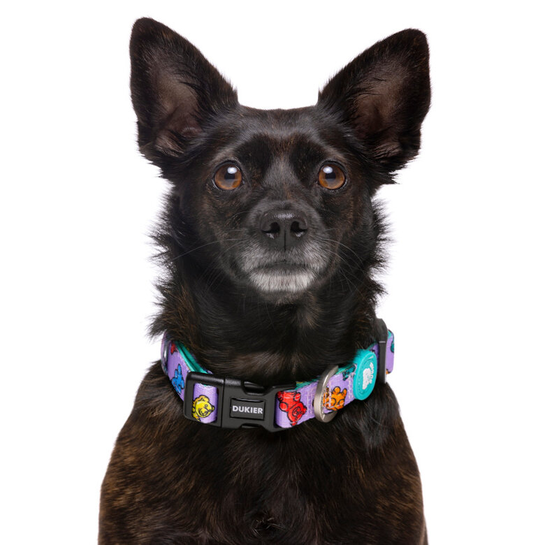 Dukier Gummy Bears collar para perros, , large image number null