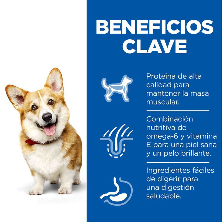 Hill&#039;s Science Plan Adult Small y Mini Pollo pienso para perros thumbnail