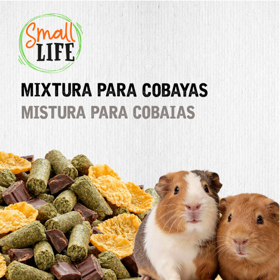 3.3 kg Small Life Mixtura Cubos para cobaya, , large Imagen numero 4