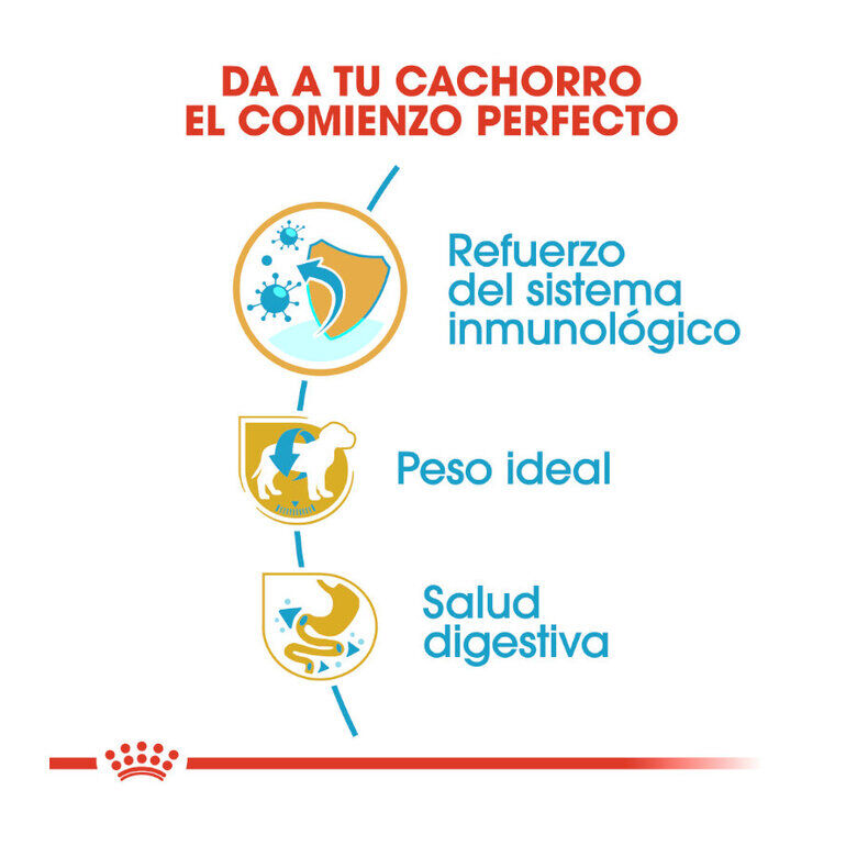 Royal Canin Puppy Miniature Schnauzer pienso para perros thumbnail