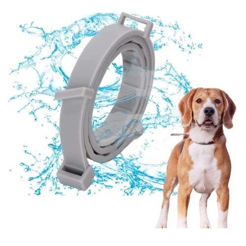 Edipets collar antiparasitario gris para perros y gatos, , large Imagen numero 1