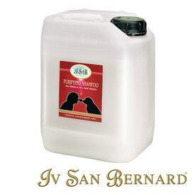 IV San Bernard Technique Champú Purifying para perros