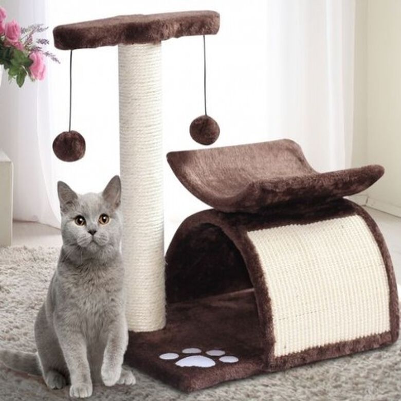 Pawhut árbol rascador con bolas de juego marrón para gatos thumbnail