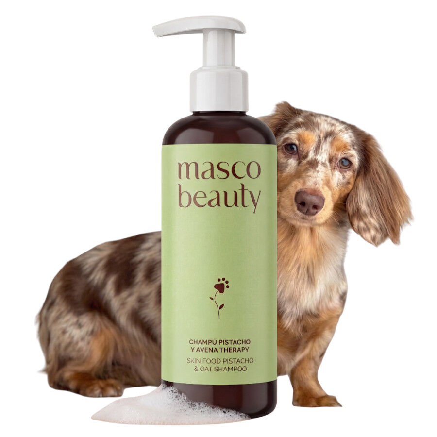 Masco Beauty Champ&uacute; Pistacho y Avena para perros, , large Imagen numero 1
