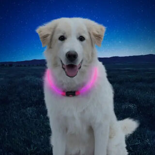 Nite Ize NiteHowl Collar de Seguridad LED Rosa para perros