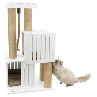Poste rascador para gatos color Multicolor