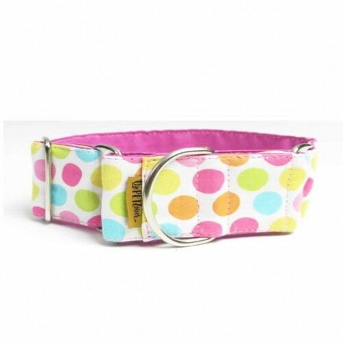 Collar Martingale Puntos para perros color Variado, , large Imagen numero 1