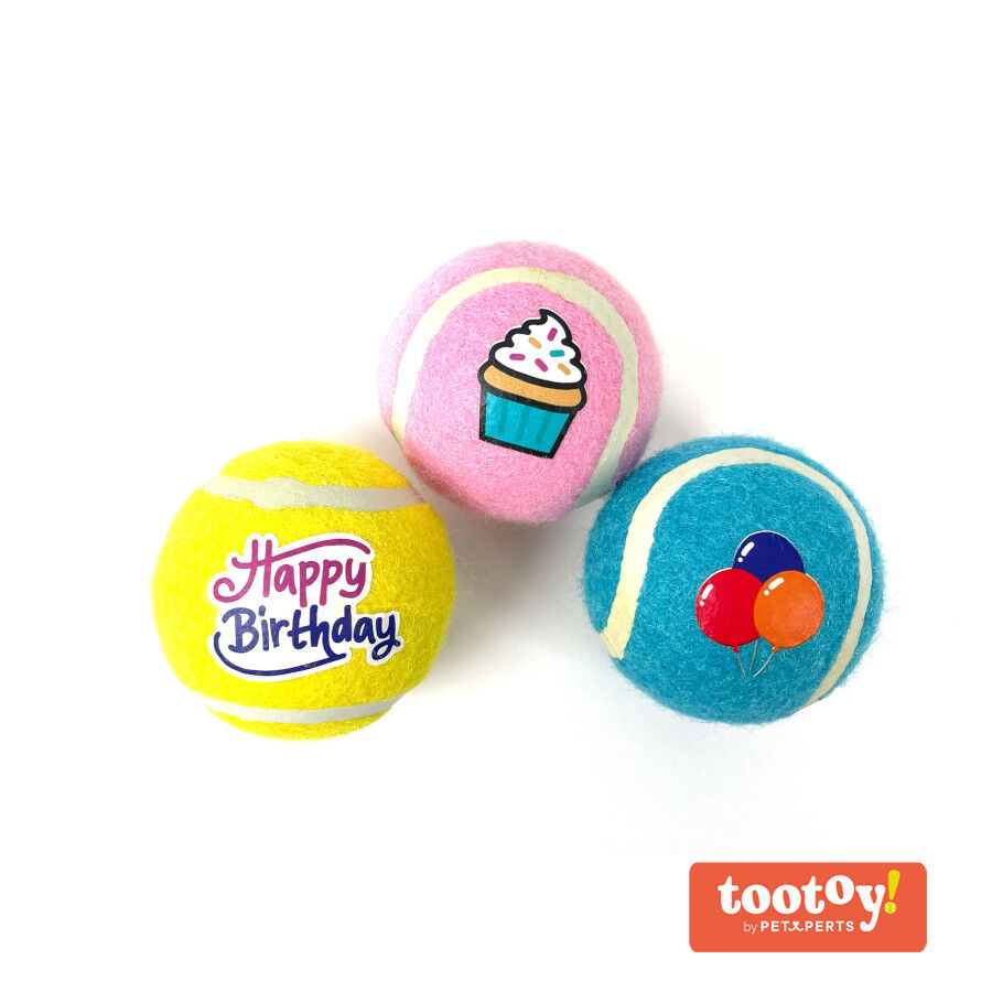 Tootoy! Comfort Happy Birthday Pack de pelotas para perro, , large Imagen numero 1