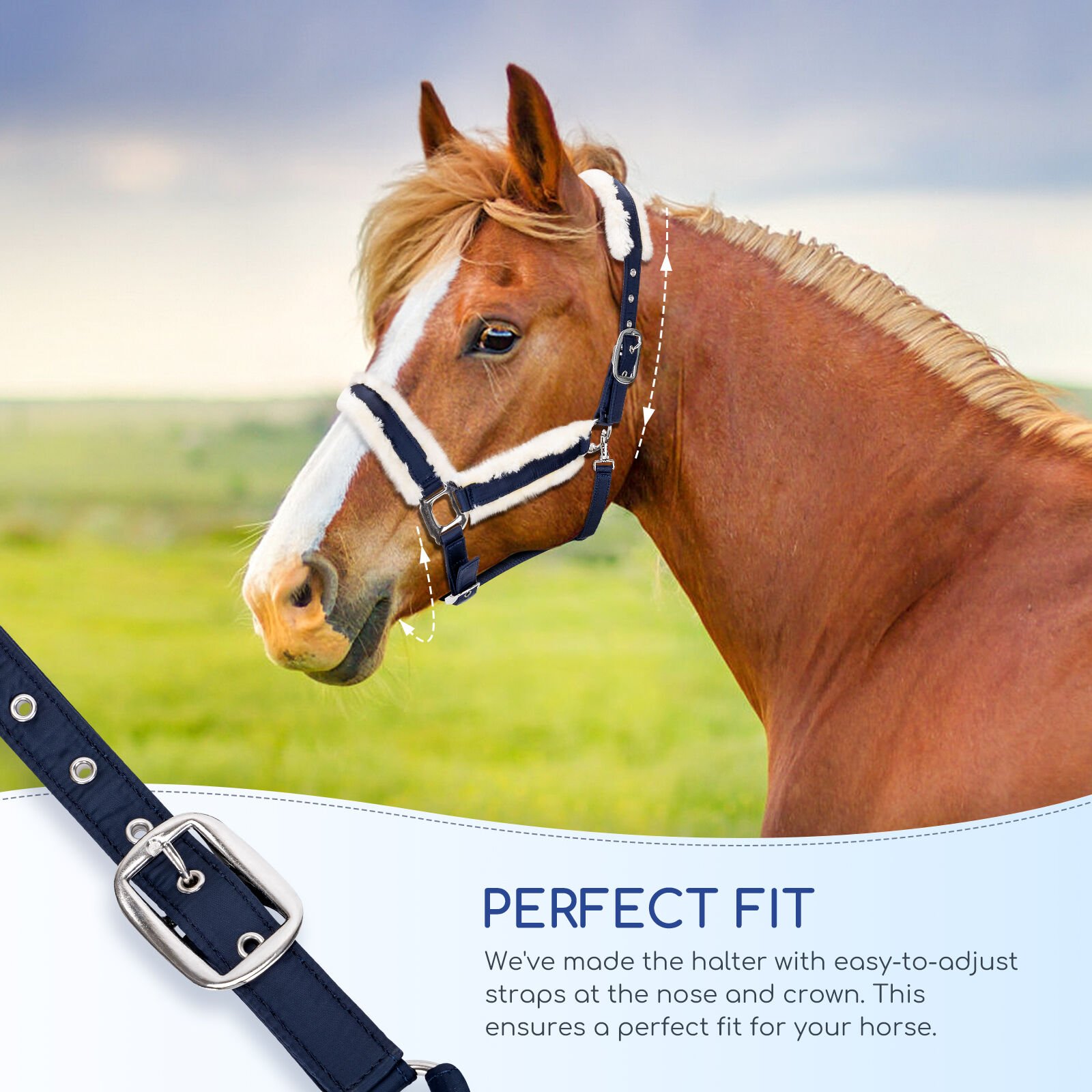 Nobleza Cabestro De Nudos Para Formación De Hípica para caballos thumbnail